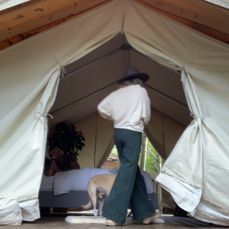 Person walking into a large white canvas glamping tent, surrounded by trees, wearing a Cream Sweatshirt + dark green trousers
