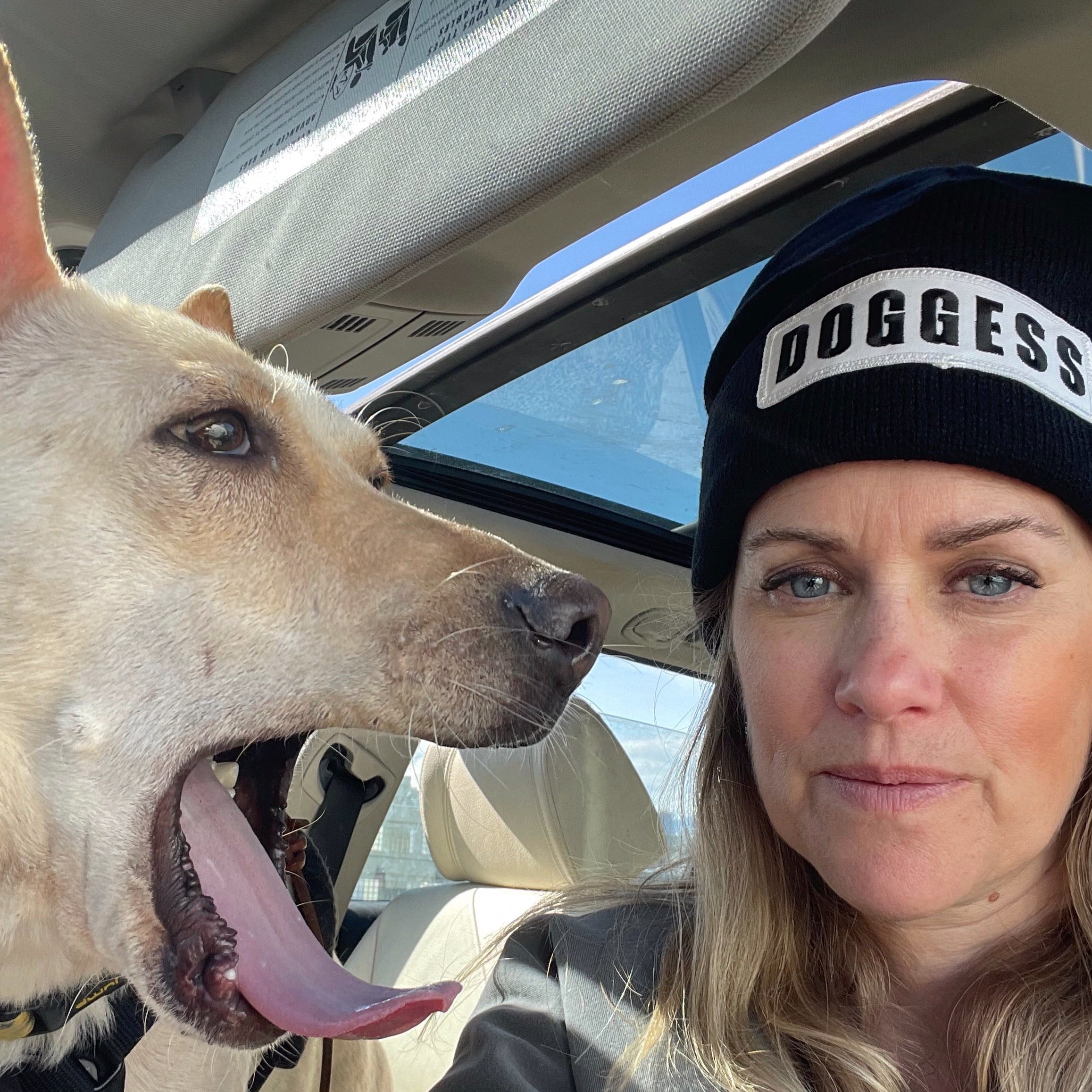 DOGGESS TOQUE BLK wht, acrylic hat, doggess embroidery, for dog charity
