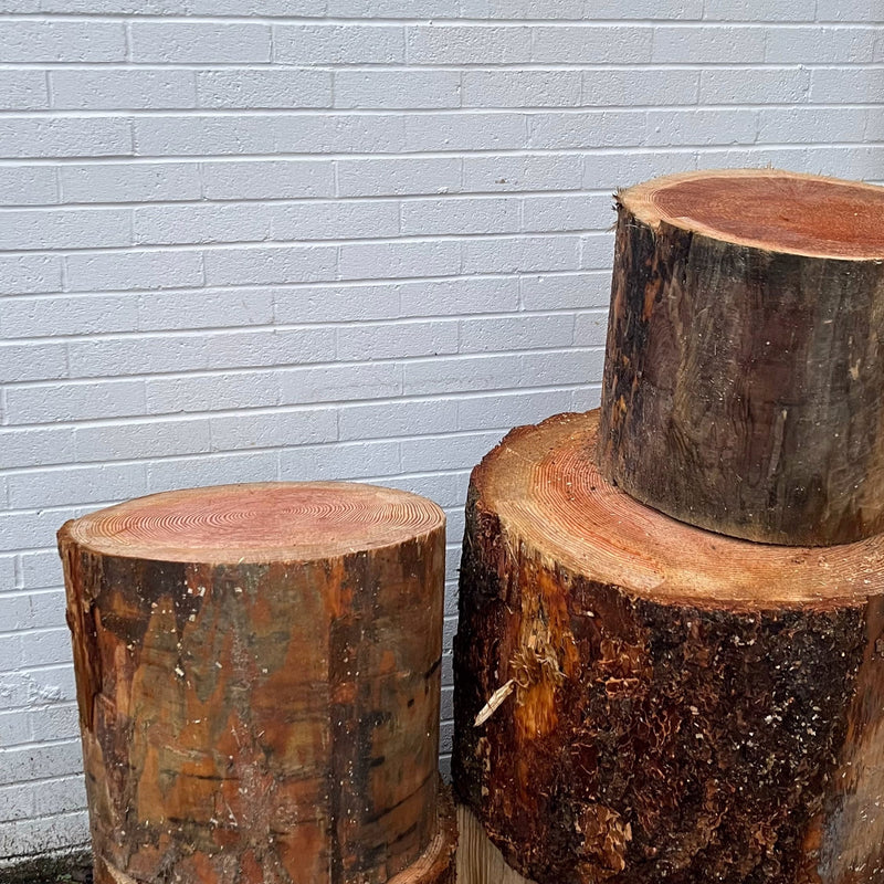 Sauna & Cold Plunge + Sauna Suits Tour